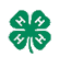 4H Youth Horse Development